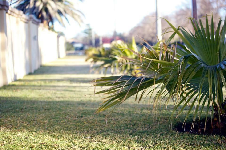 African Crest Guest House Vereeniging Buitenkant foto